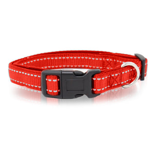 Neoprene Padded Pet Collar with Adjustable Buckles & Reflective Stitches