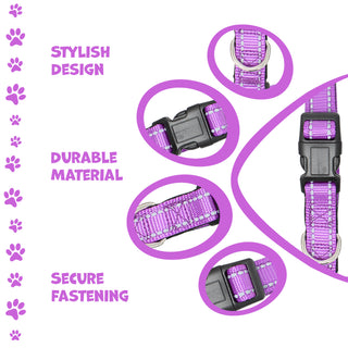 Neoprene Padded Pet Collar with Adjustable Buckles & Reflective Stitches