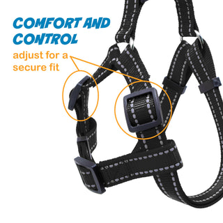 A-Style Pet Harness with Stitch Design & Adjustable Buckles - Maximum Comfort for Pets