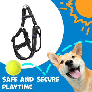 A-Style Pet Harness with Stitch Design & Adjustable Buckles - Maximum Comfort for Pets