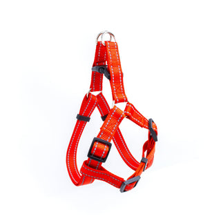 A-Style Pet Harness with Stitch Design & Adjustable Buckles - Maximum Comfort for Pets