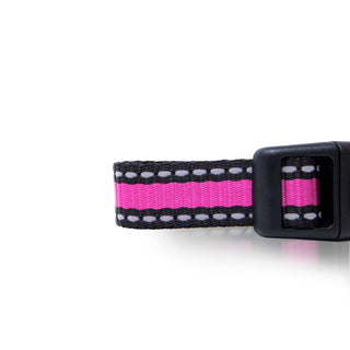 Bi-Color Pet Collar with Adjustable Buckle