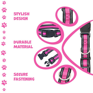 Bi-Color Pet Collar with Adjustable Buckle