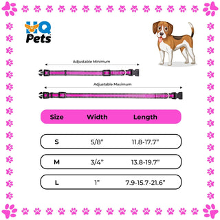 Bi-Color Pet Collar with Adjustable Buckle