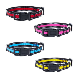 Bi-Color Pet Collar with Adjustable Buckle