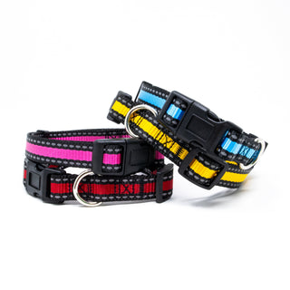 Bi-Color Pet Collar with Adjustable Buckle