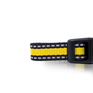 Bi-Color Pet Collar with Adjustable Buckle