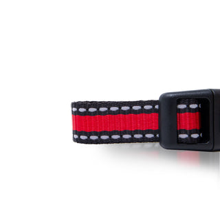 Bi-Color Pet Collar with Adjustable Buckle