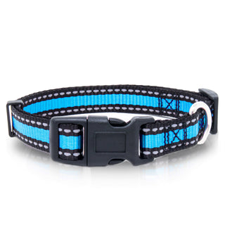 Bi-Color Pet Collar with Adjustable Buckle