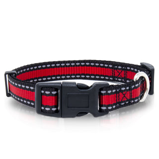 Bi-Color Pet Collar with Adjustable Buckle