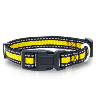 Bi-Color Pet Collar with Adjustable Buckle