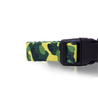 Funky Patterned Pet Collar with Adjustable Size