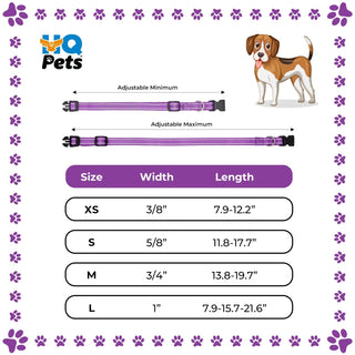 Neoprene Padded Pet Collar with Adjustable Buckles & Reflective Stitches