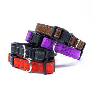 Neoprene Padded Pet Collar with Adjustable Buckles & Reflective Stitches