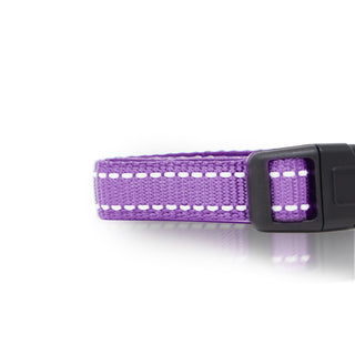 Neoprene Padded Pet Collar with Adjustable Buckles & Reflective Stitches