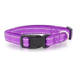 Neoprene Padded Pet Collar with Adjustable Buckles & Reflective Stitches