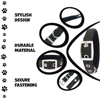 Padded Pet Collar with Adjustable Sizing - Polyester & Stainless Steel