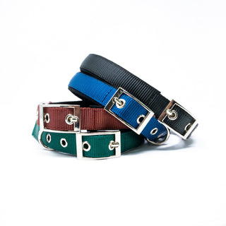 Padded Pet Collar with Adjustable Sizing - Polyester & Stainless Steel