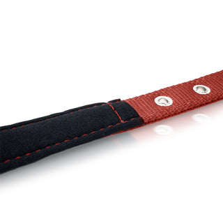 Padded Pet Collar with Adjustable Sizing - Polyester & Stainless Steel