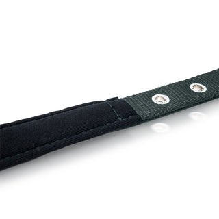 Padded Pet Collar with Adjustable Sizing - Polyester & Stainless Steel