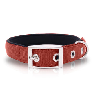 Padded Pet Collar with Adjustable Sizing - Polyester & Stainless Steel