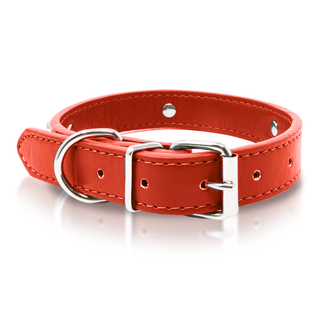 PU LEATHER COLLAR with Bone DESIGN & Adjustable Size