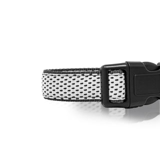 Sporty Design Collar for Pets with Adjustable Buckles