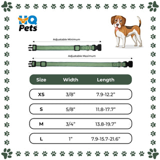 Sporty Design Collar for Pets with Adjustable Buckles