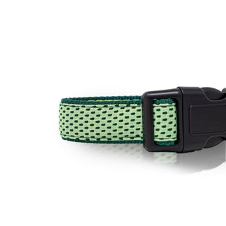 Sporty Design Collar for Pets with Adjustable Buckles