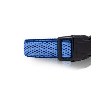 Sporty Design Collar for Pets with Adjustable Buckles