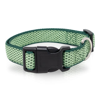 Sporty Design Collar for Pets with Adjustable Buckles