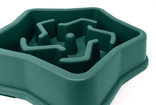 Star Dog Training Bowl - Perfect for Interactive Feeding